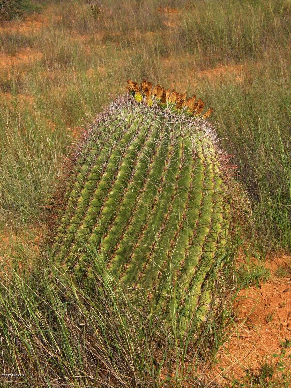6101 East Horse Ranch Road, Unit 38 St. David, AZ 85630 - Photo 14 of 21