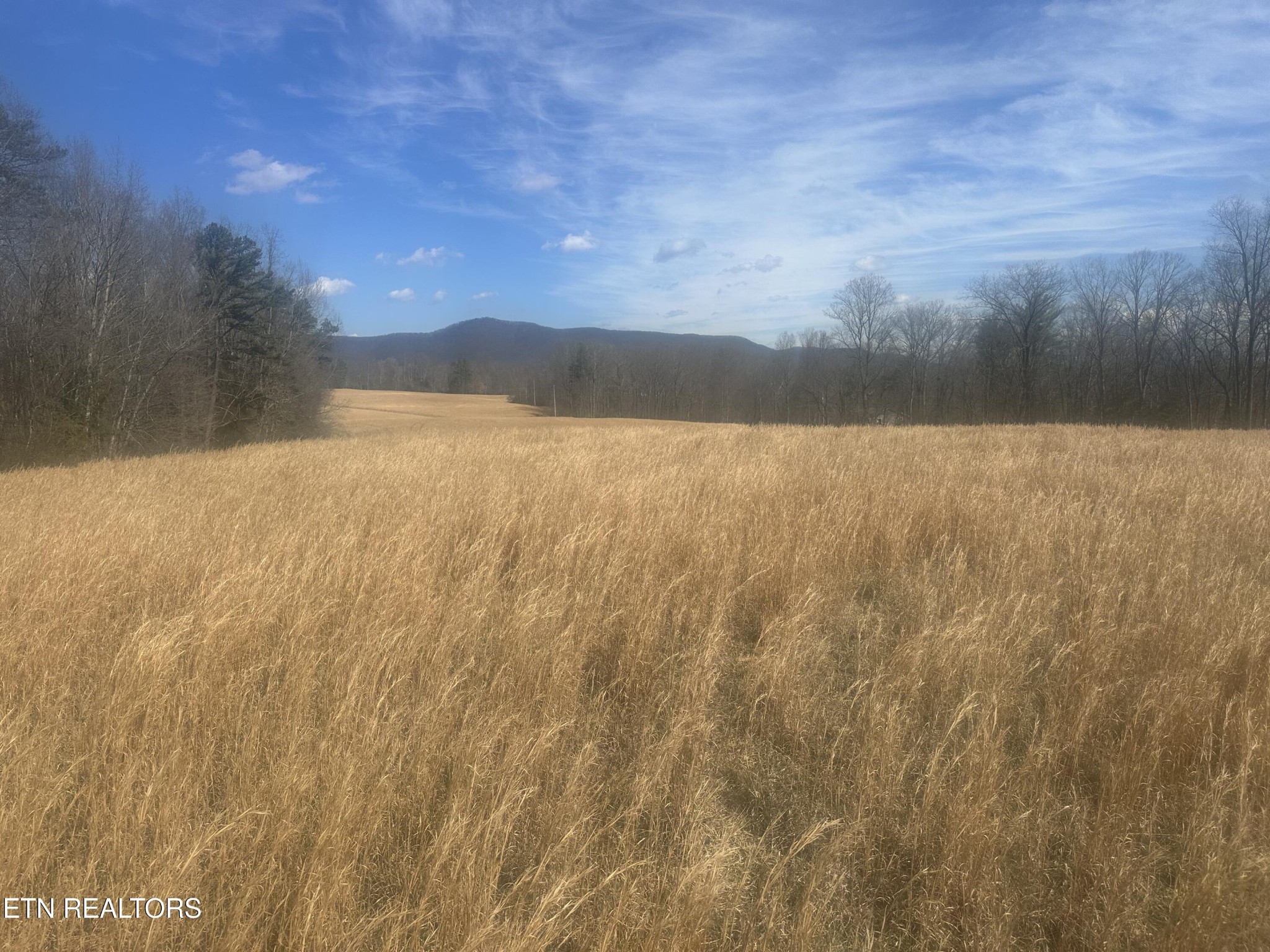 0 Ruppe Road Oakdale, TN 37829 - Photo 1 of 4 Gallery Image 1