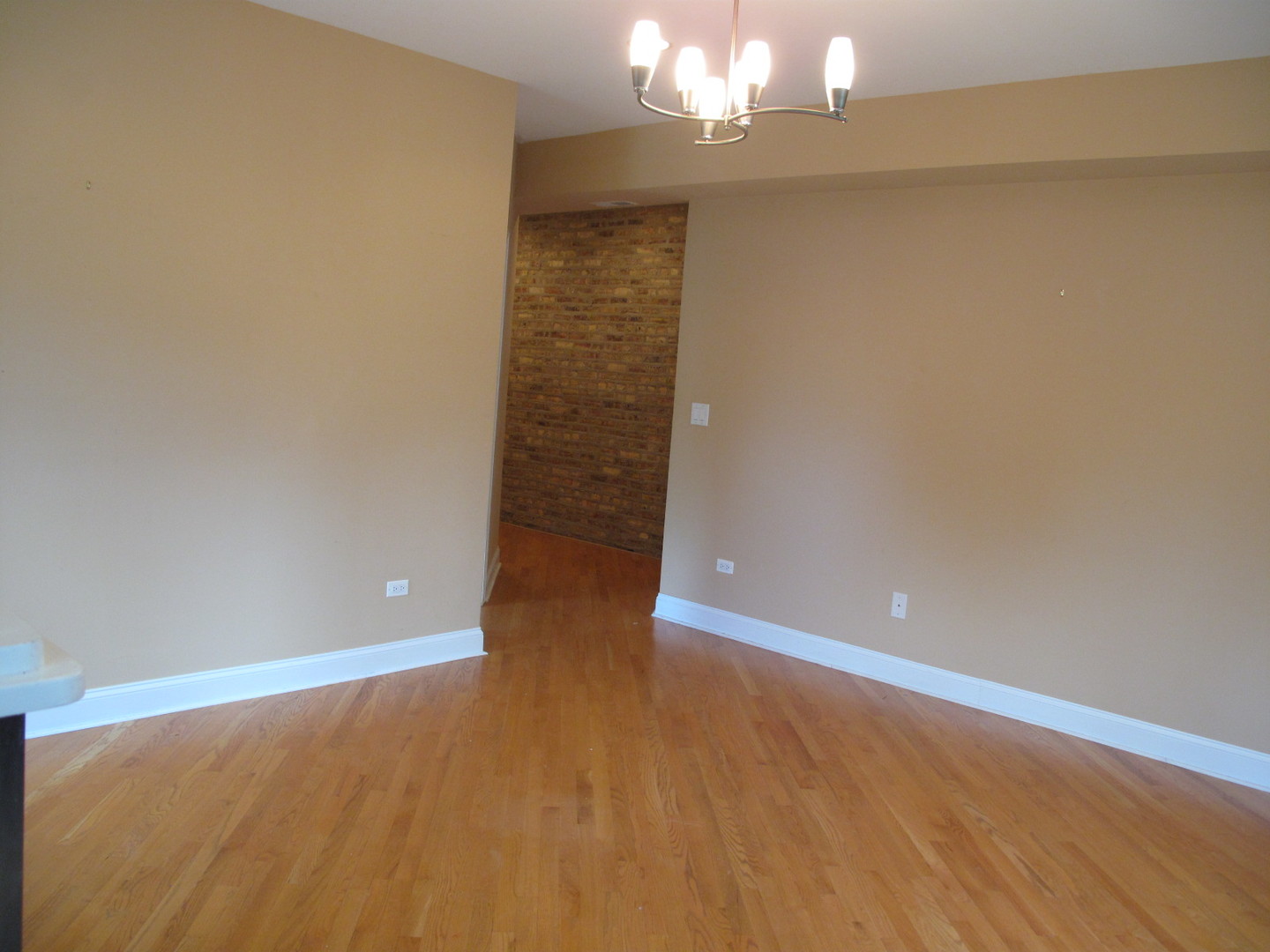 911 Maple Avenue, Unit 2N Evanston, IL 60202 - Photo 8 of 26