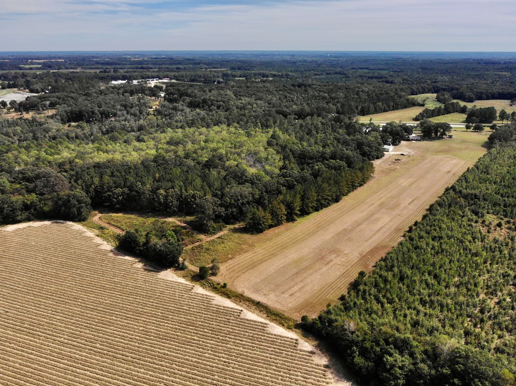 4566 Goose Hollow Road Geneva, AL 36340 - Photo 11 of 63