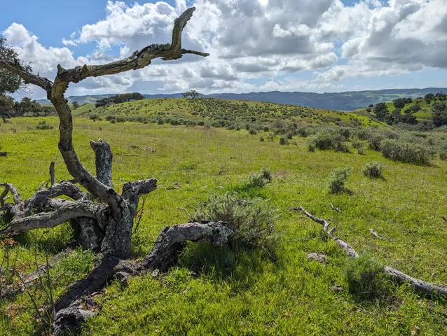 a view of a garden with an outdoor space
