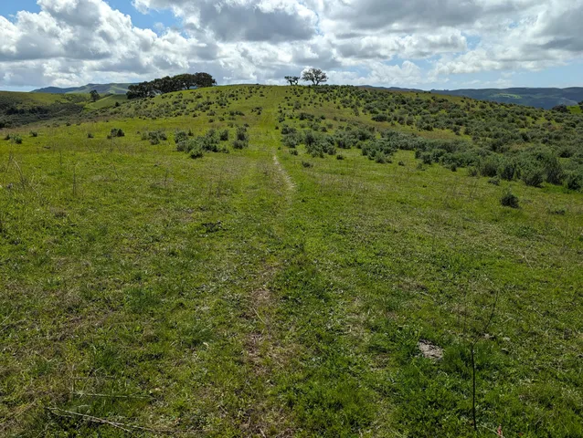 a view of a big yard