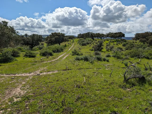 a view of a big yard with lots of green space