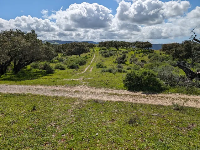 a view of a pathway both side of grassy field with shrub