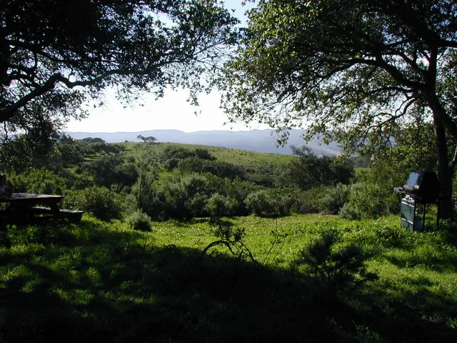 a view of outdoor space and yard