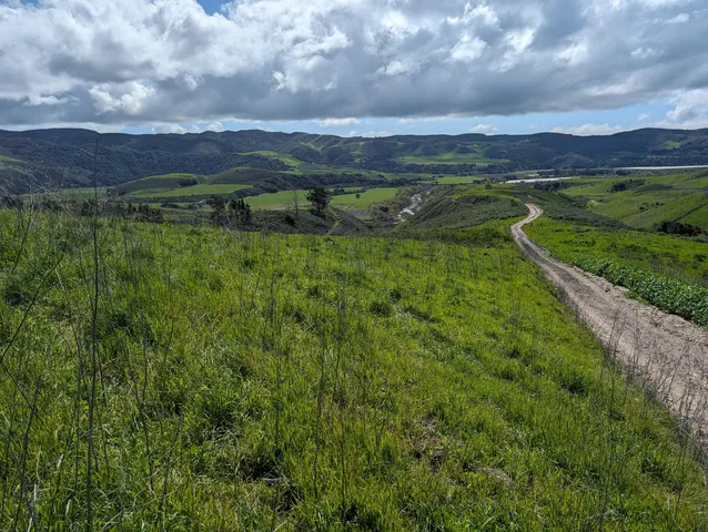a view of a city with lush green forest