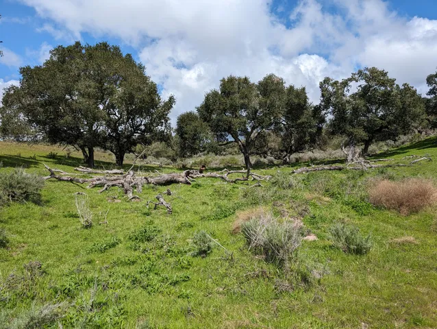 a view of outdoor space and yard