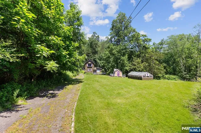 a view of a yard with plants and large trees
