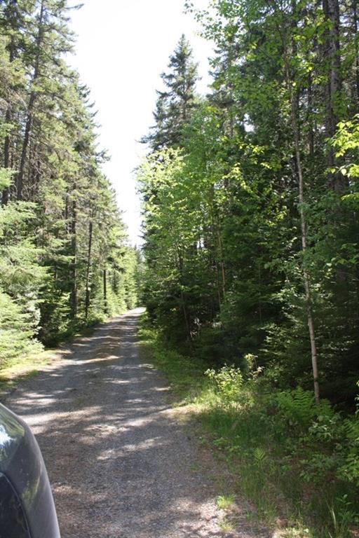 98 Birches Beach Road Oquossoc, ME 04964 - Photo 29 of 30 Photo