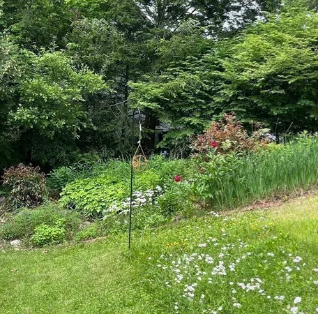a backyard of a house with lots of green space and chair