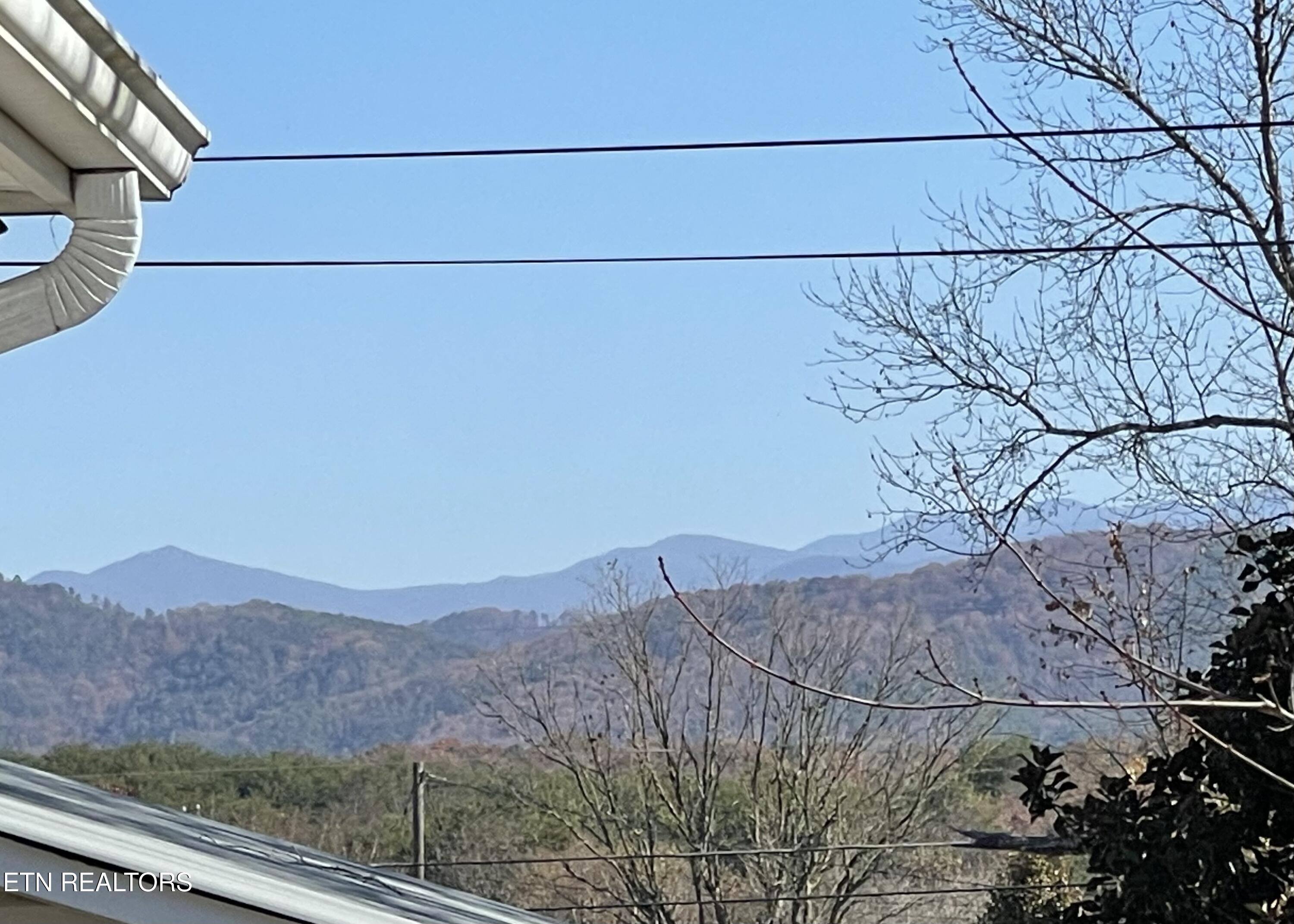 303 Curtis Road Tellico Plains, TN 37385 - Photo 11 of 27 IMG_6748