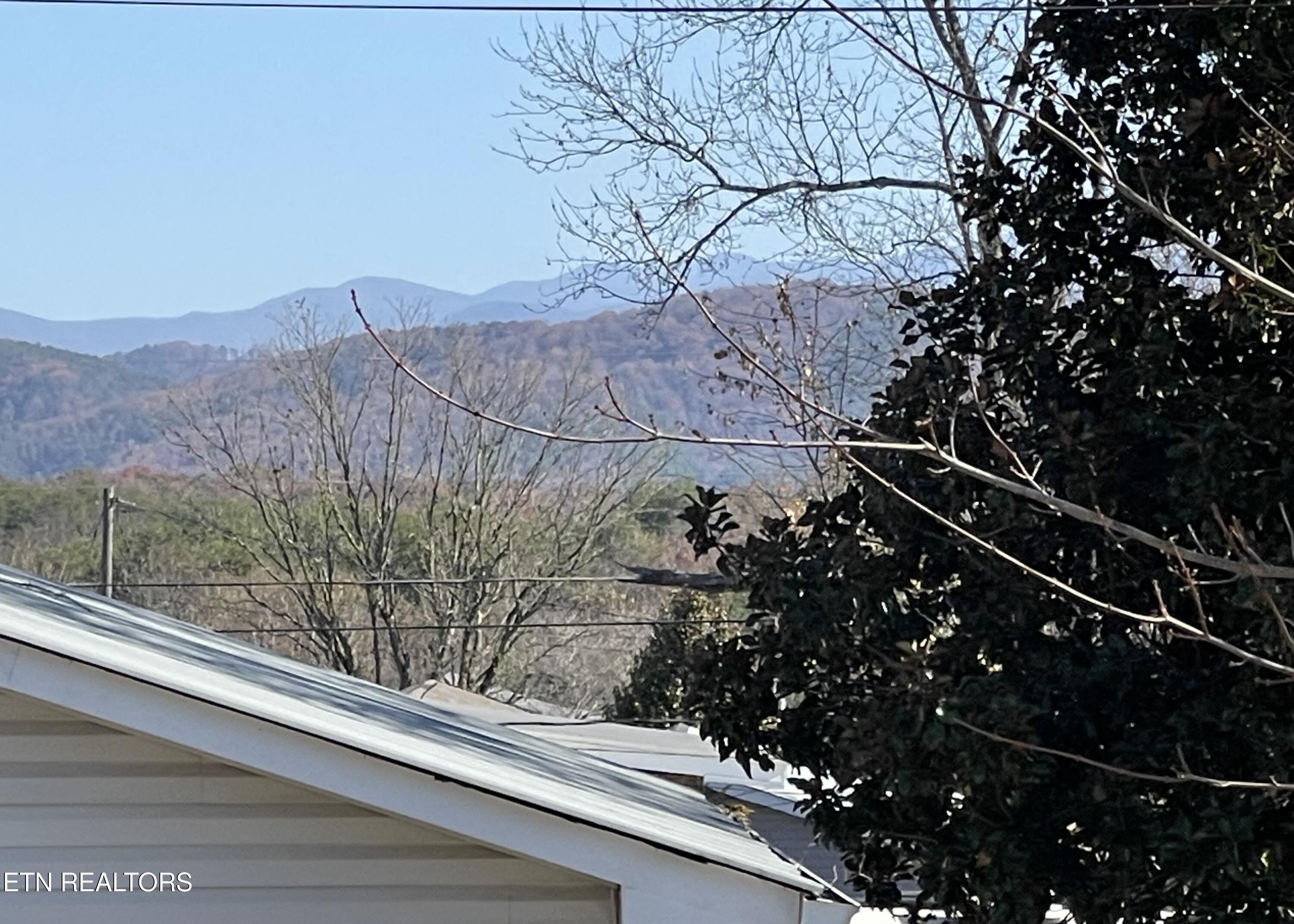 303 Curtis Road Tellico Plains, TN 37385 - Photo 19 of 27 IMG_6749