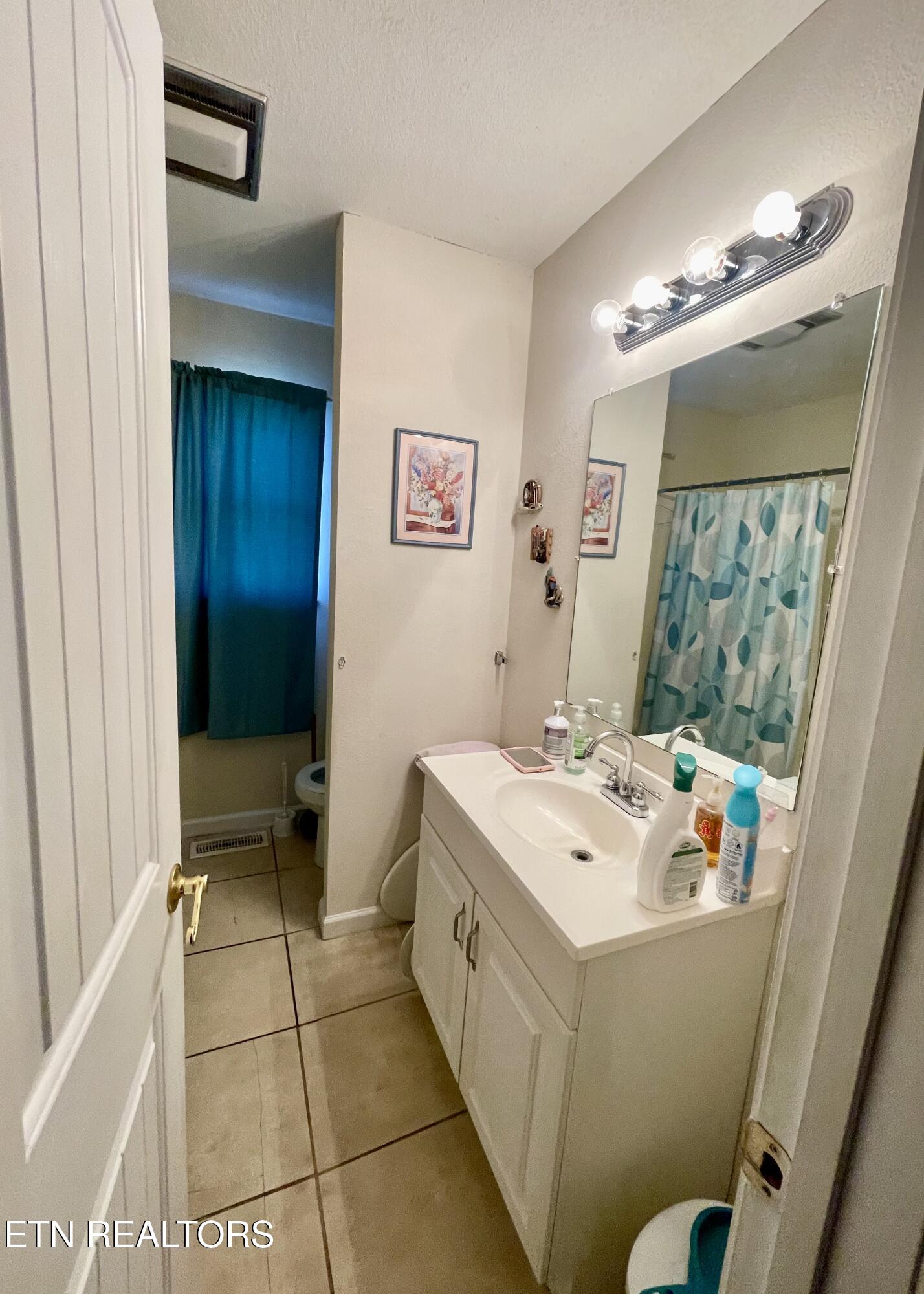 303 Curtis Road Tellico Plains, TN 37385 - Photo 24 of 27 IMG_6737