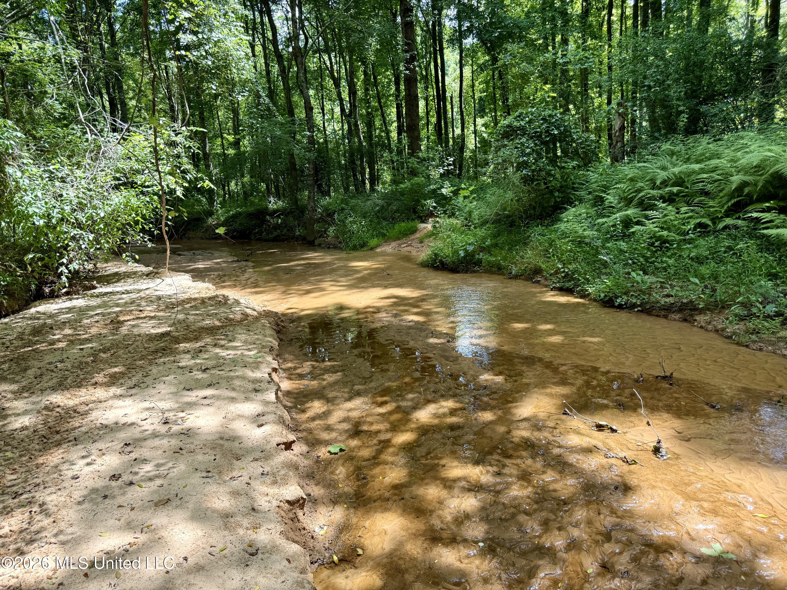 828 Little Egypt Road Ashland, MS 38603 - Photo 86 of 101 Photo Jun 30 2026, 11 24 42 AM