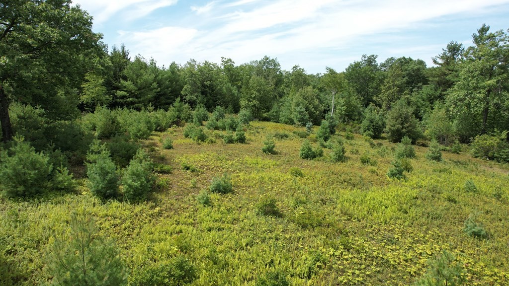 0 Chapin Road Holden, MA 01520 - Photo 2 of 18 Gallery Image 2