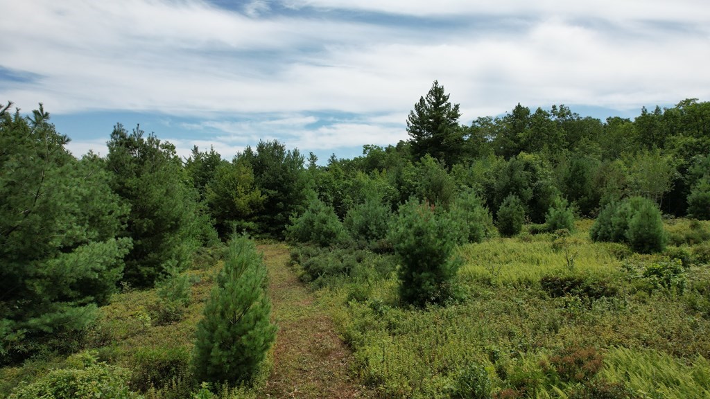 0 Chapin Road Holden, MA 01520 - Photo 3 of 18 Gallery Image 3