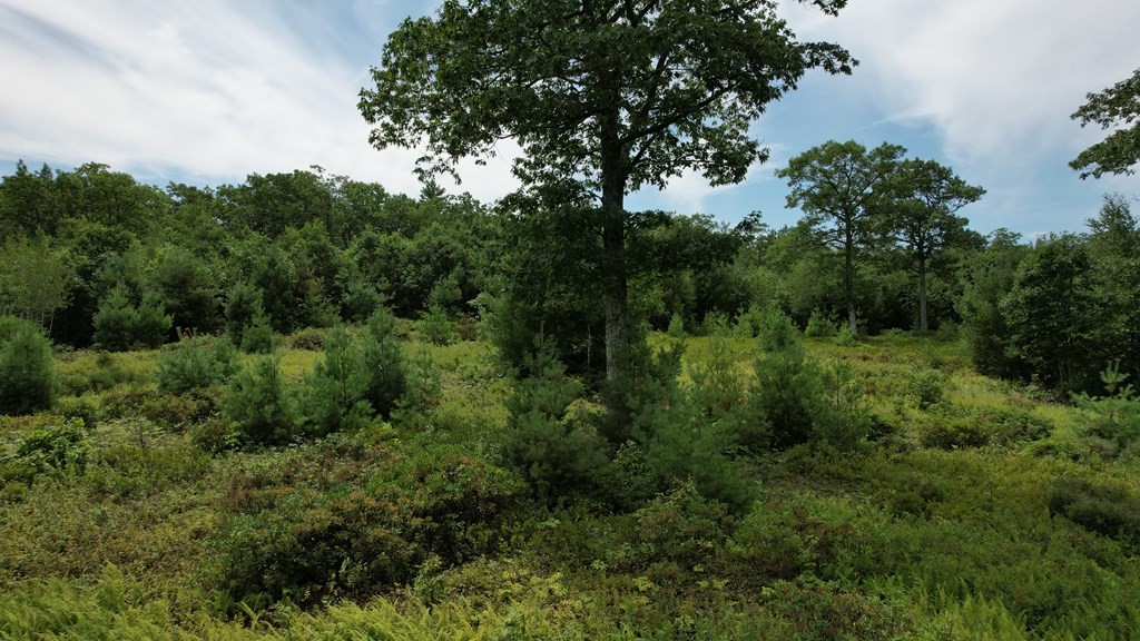 0 Chapin Road Holden, MA 01520 - Photo 4 of 18 Gallery Image 4