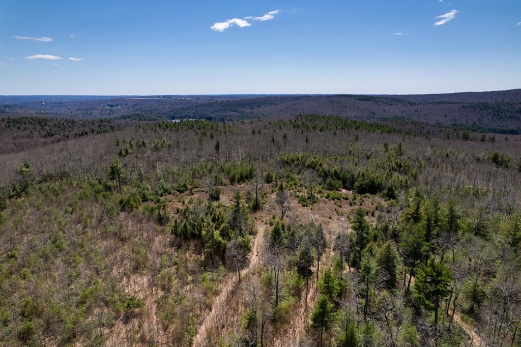 0 Chapin Road Holden, MA 01520 - Photo 8 of 18 Gallery Image 8
