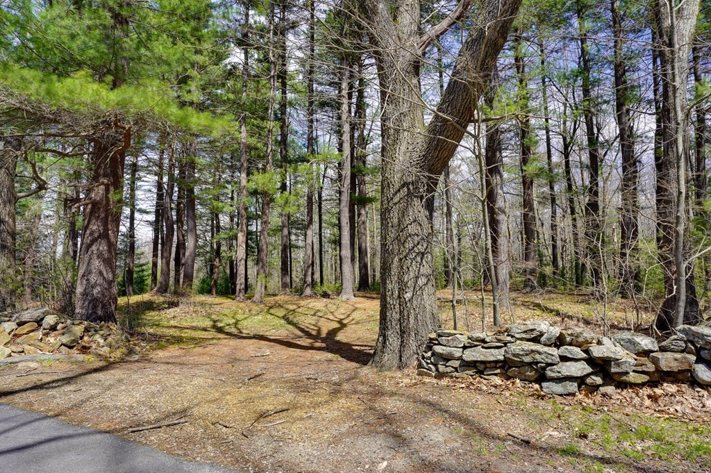 0 Chapin Road Holden, MA 01520 - Photo 9 of 18 Gallery Image 9