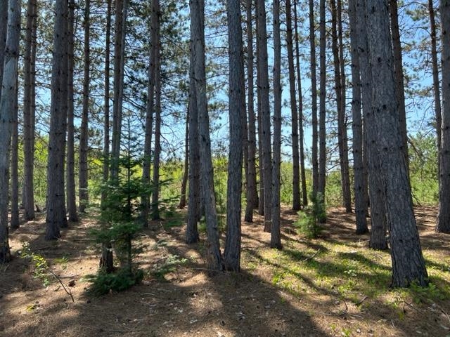 7366 North 47 3/4 Road Manton, MI 49663 - Photo 77 of 78 1911142-77.JPG