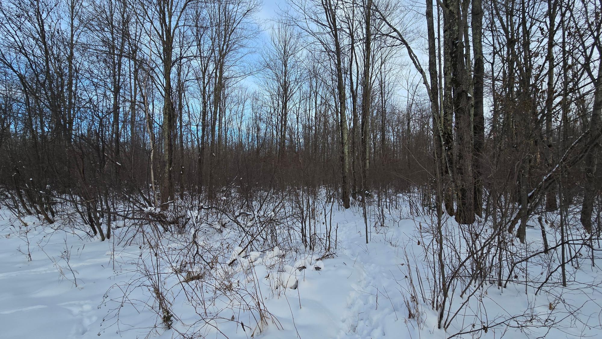 On Hansen Road, Unit 81 ACRES Antigo, WI 54409 - Photo 28 of 30 Gallery Image 28