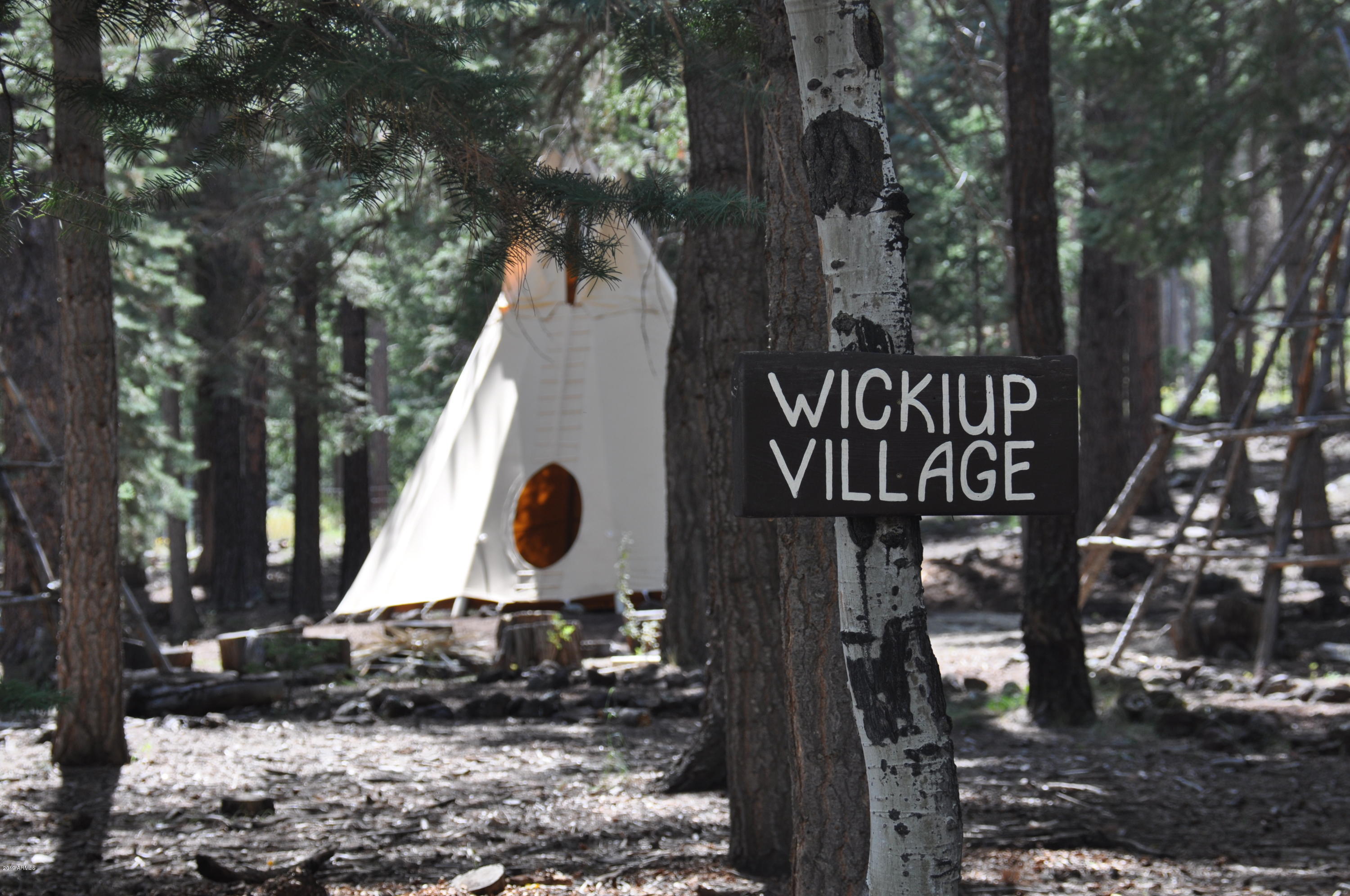 37 North Crn 1330 Road, Unit 19 Greer, AZ 85927 - Photo 7 of 13 a view of a park bench under a large tree