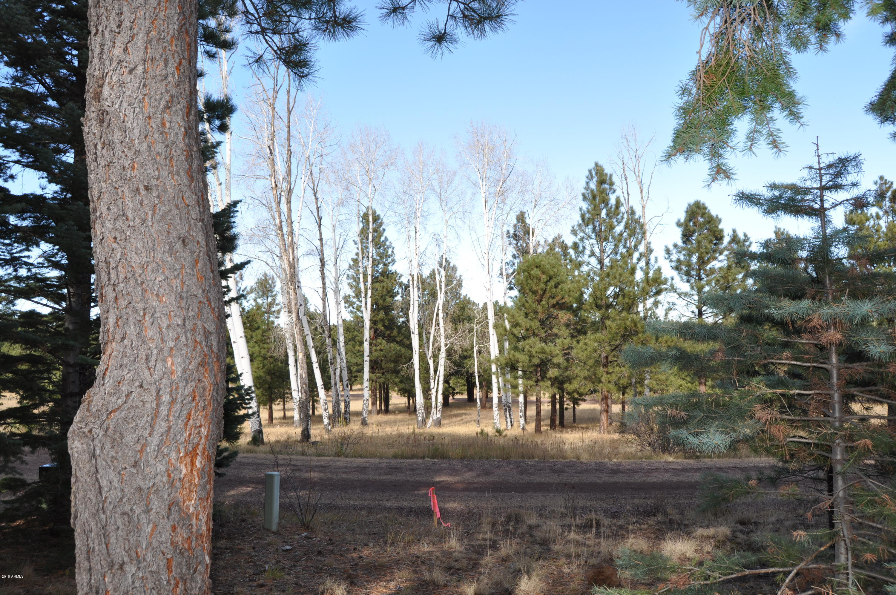 37 North 1330th, Unit 19 Greer, AZ 85927 - Photo 8 of 38 a view of a yard in the house