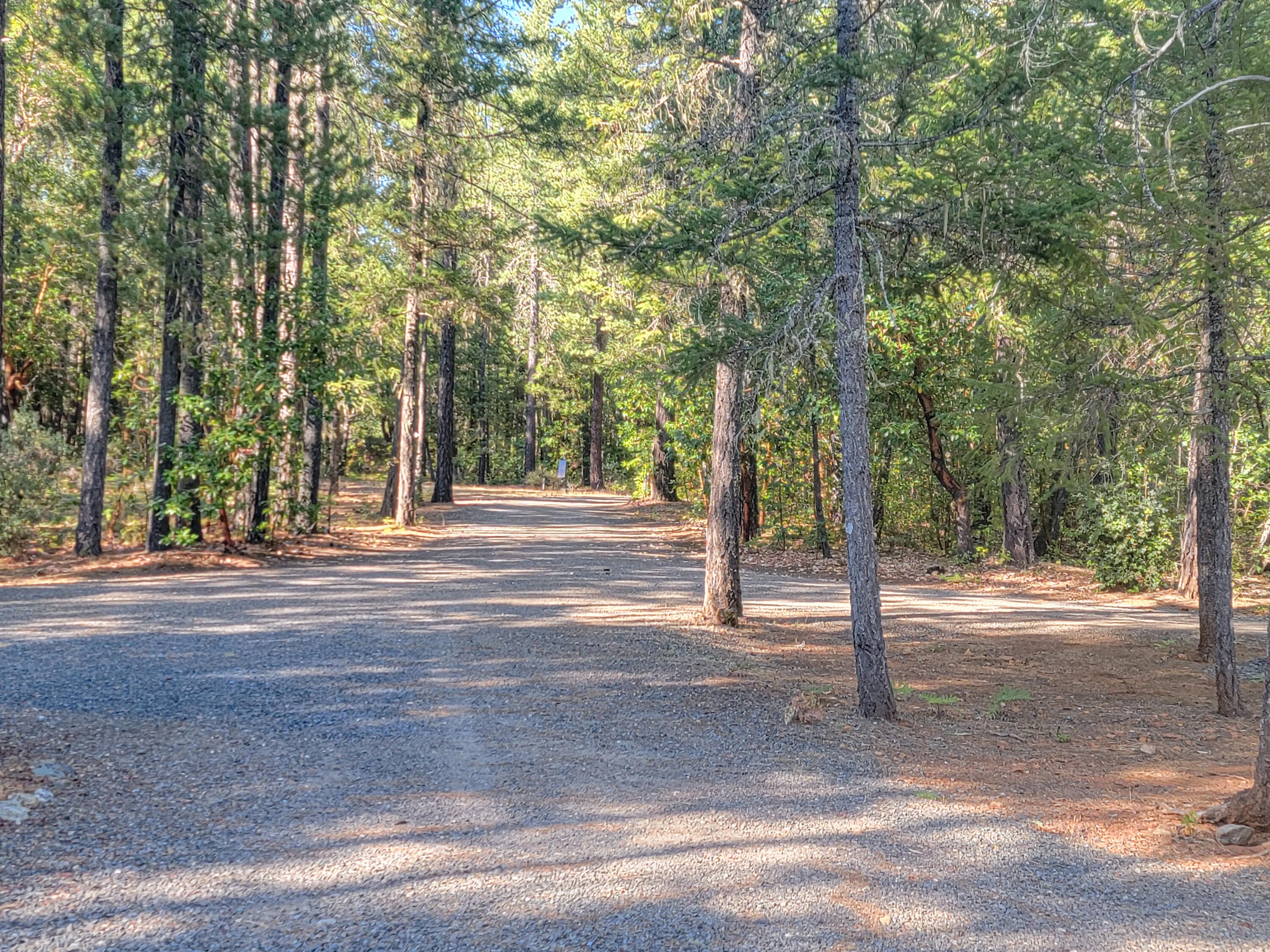 565 Squaw Mountain Road Selma, OR 97538 - Photo 14 of 20 20250818_170759