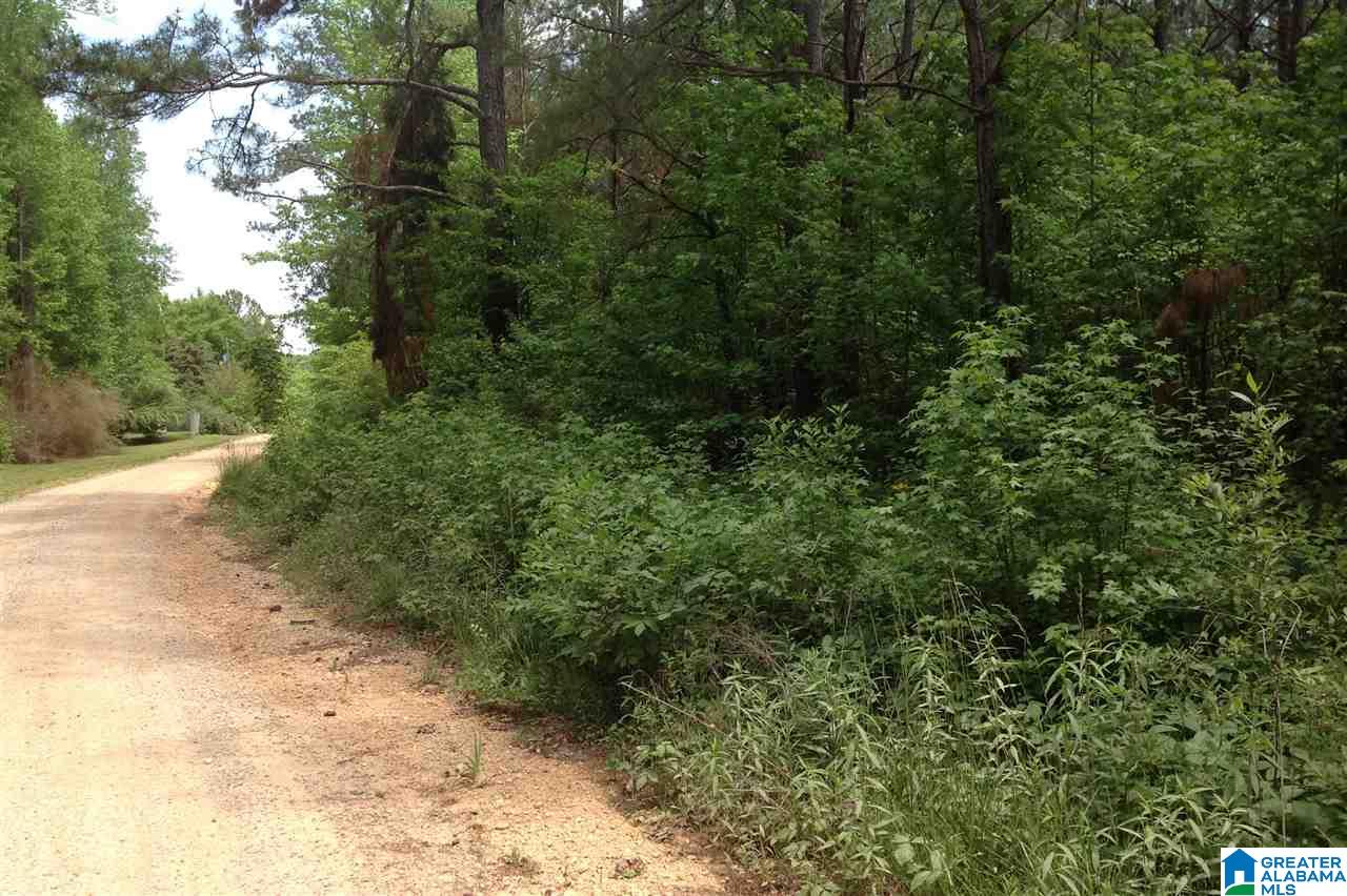0 County Road 697 Muscadine, AL 36269 - Photo 5 of 8