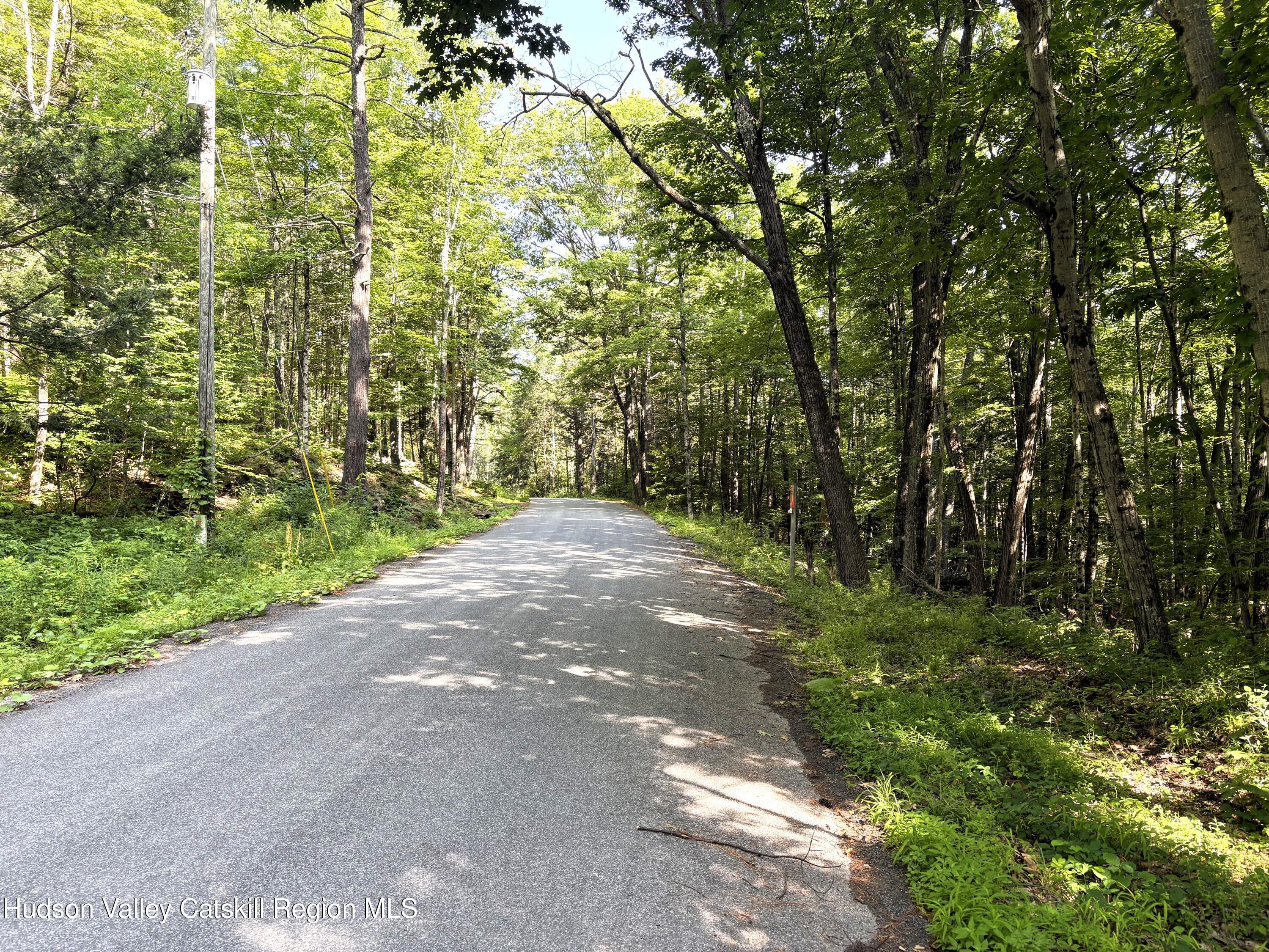 Tbd Cresent Road Gilboa, NY 12076 - Photo 4 of 5 IMG_0580