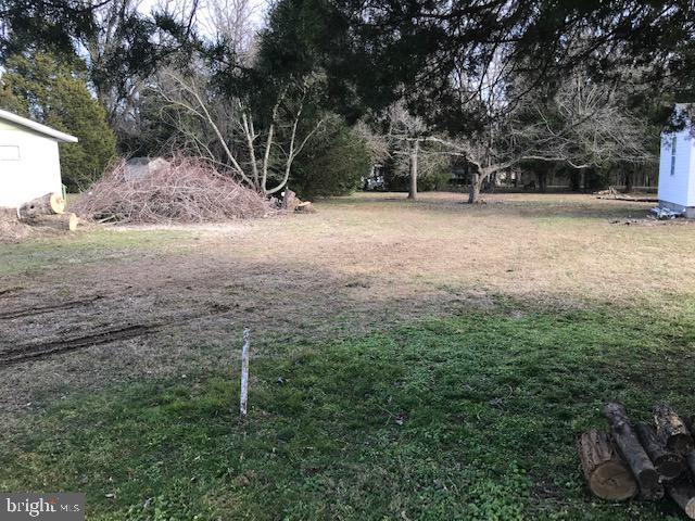 Lot 4 Carver Road Chaptico, MD 20621 - Photo 2 of 5 View from street, right side of lot 4