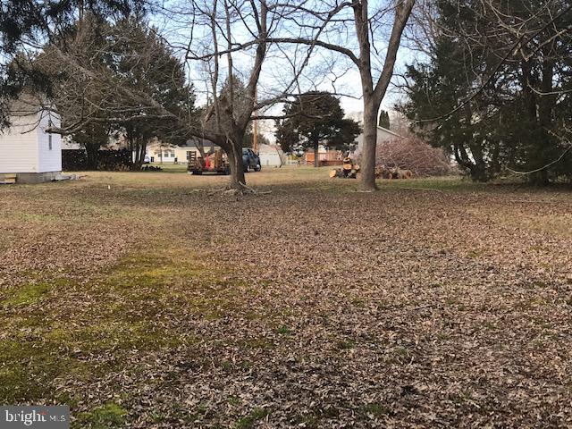 Lot 4 Carver Road Chaptico, MD 20621 - Photo 4 of 5 View from back edge of the lot