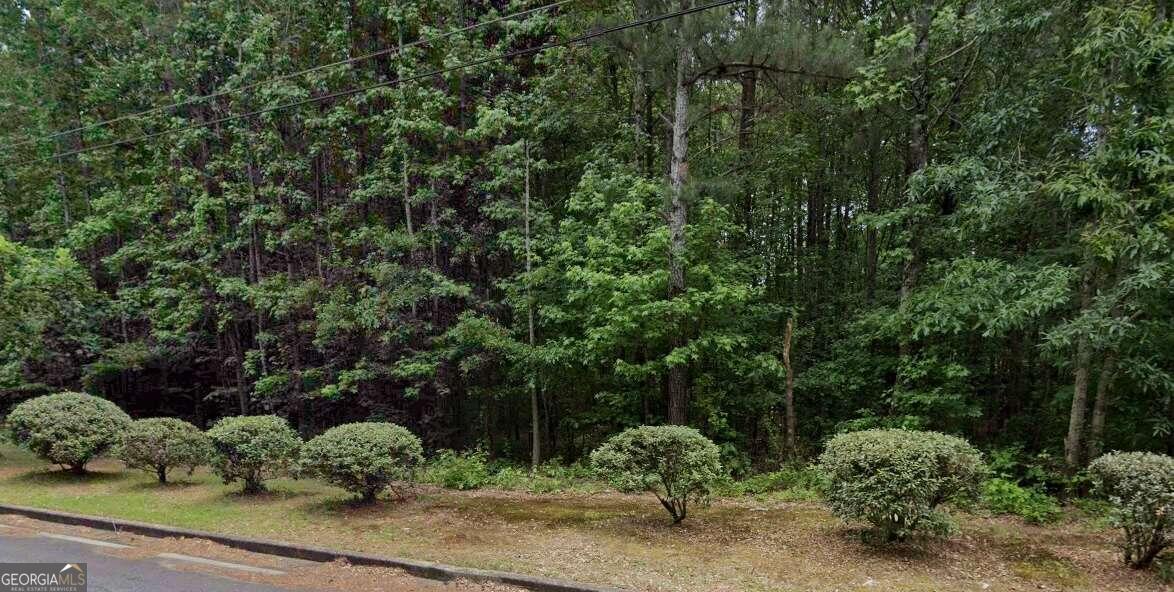 0 Story Road Southwest Powder Springs, GA 30127 - Photo 1 of 1 Gallery Image 1