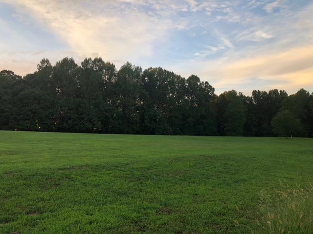 0 Williams Road Lafayette, TN 37083 - Photo 1 of 6 NICE COUNTRY SETTING YET CLOSE TO TOWN.