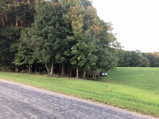 0 Williams Road Lafayette, TN 37083 - Photo 2 of 6 SOME TREES FOR PRIVACY.