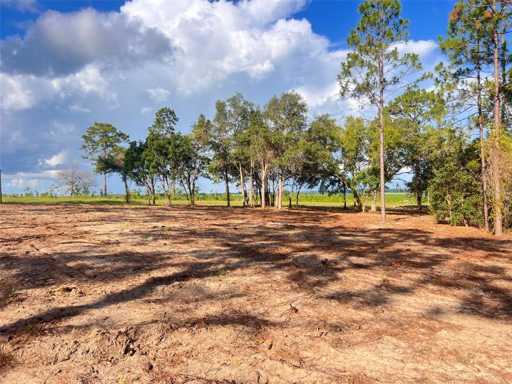 Levy Street Williston, FL 32696 - Photo 5 of 26