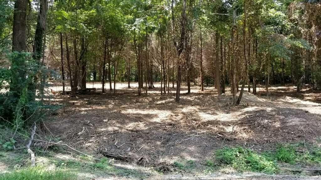 0 Giles Road Huntingdon, TN 38235 - Photo 1 of 1 Photo 1
