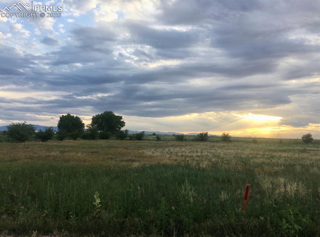 4169 40th Lane Avondale, CO 81022 - Photo 8 of 9 a view of a big yard with large trees
