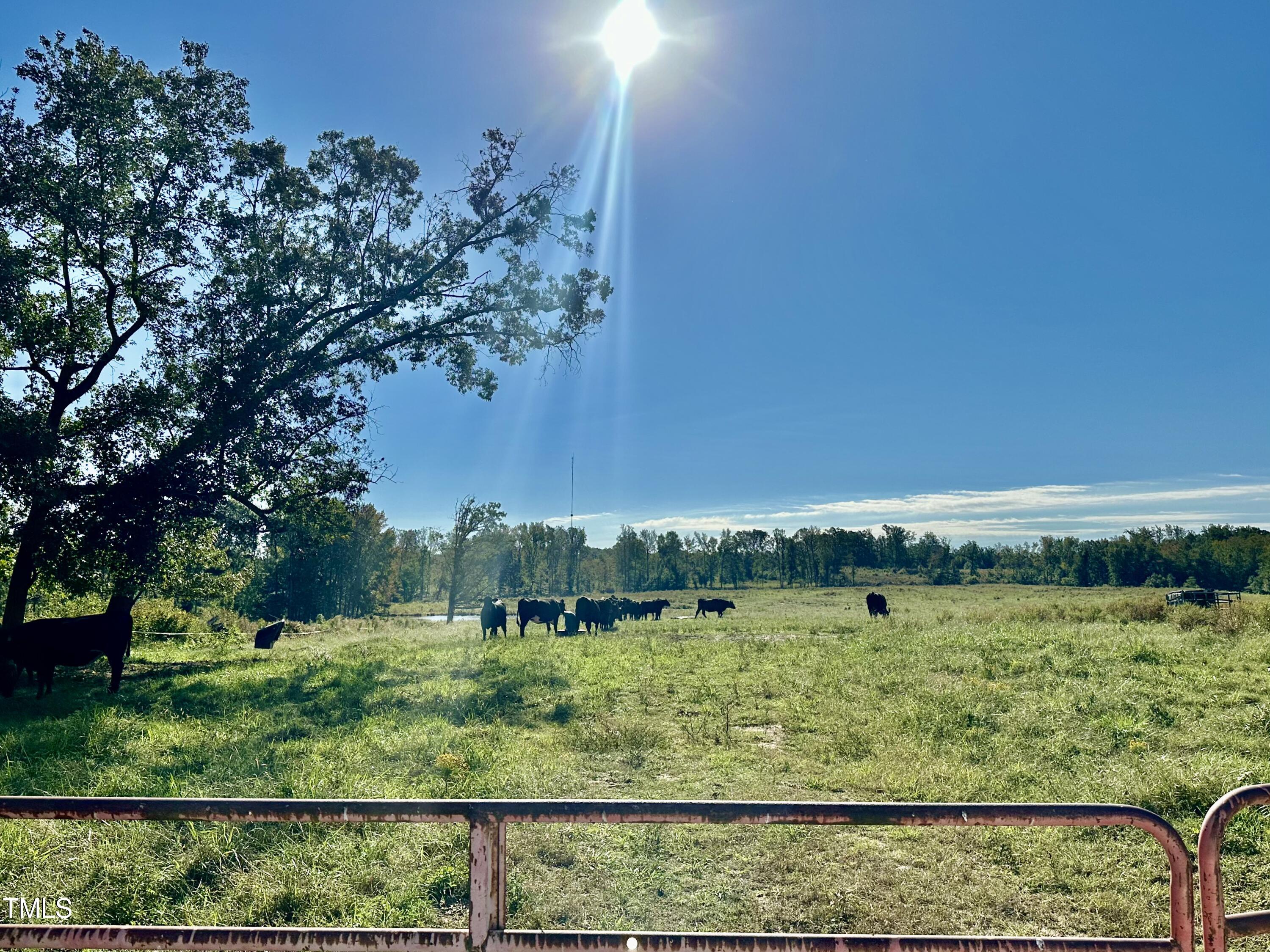 Lot 1 Jones Road Hurdle Mills, NC 27541 - Photo 1 of 11 IMG_6493