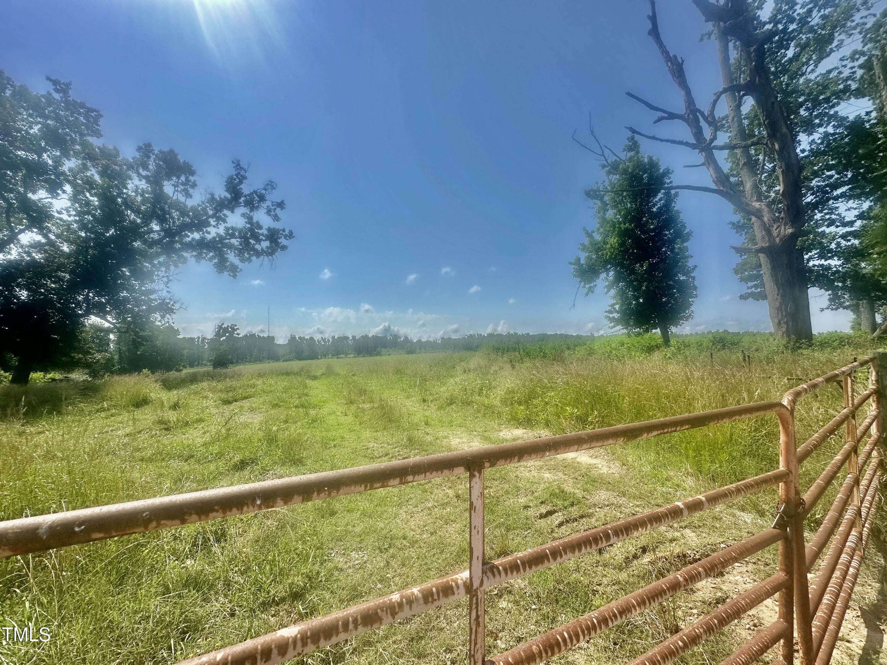 Lot 1 Jones Road Hurdle Mills, NC 27541 - Photo 11 of 11 IMG_0739