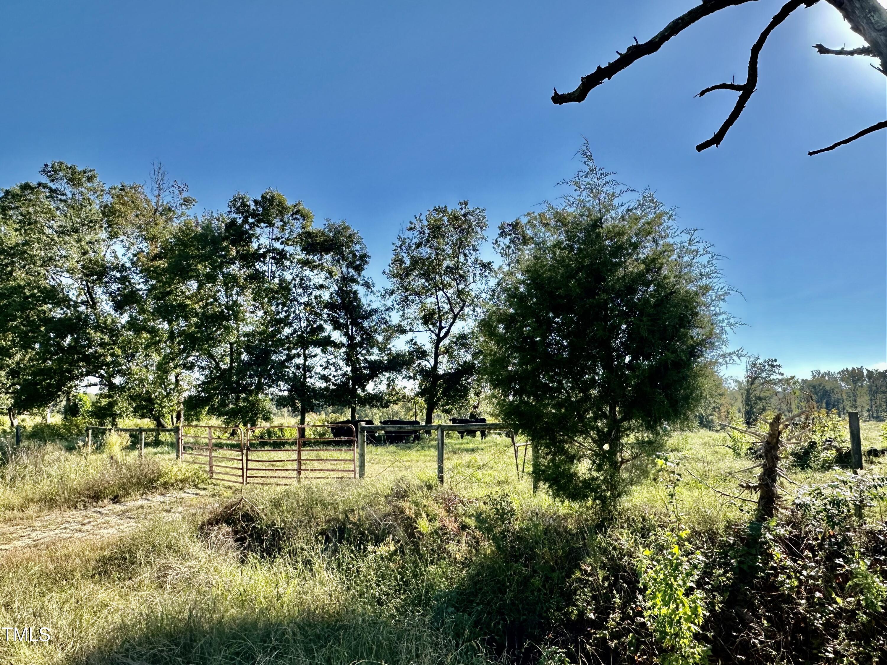 Lot 1 Jones Road Hurdle Mills, NC 27541 - Photo 3 of 11 IMG_6497