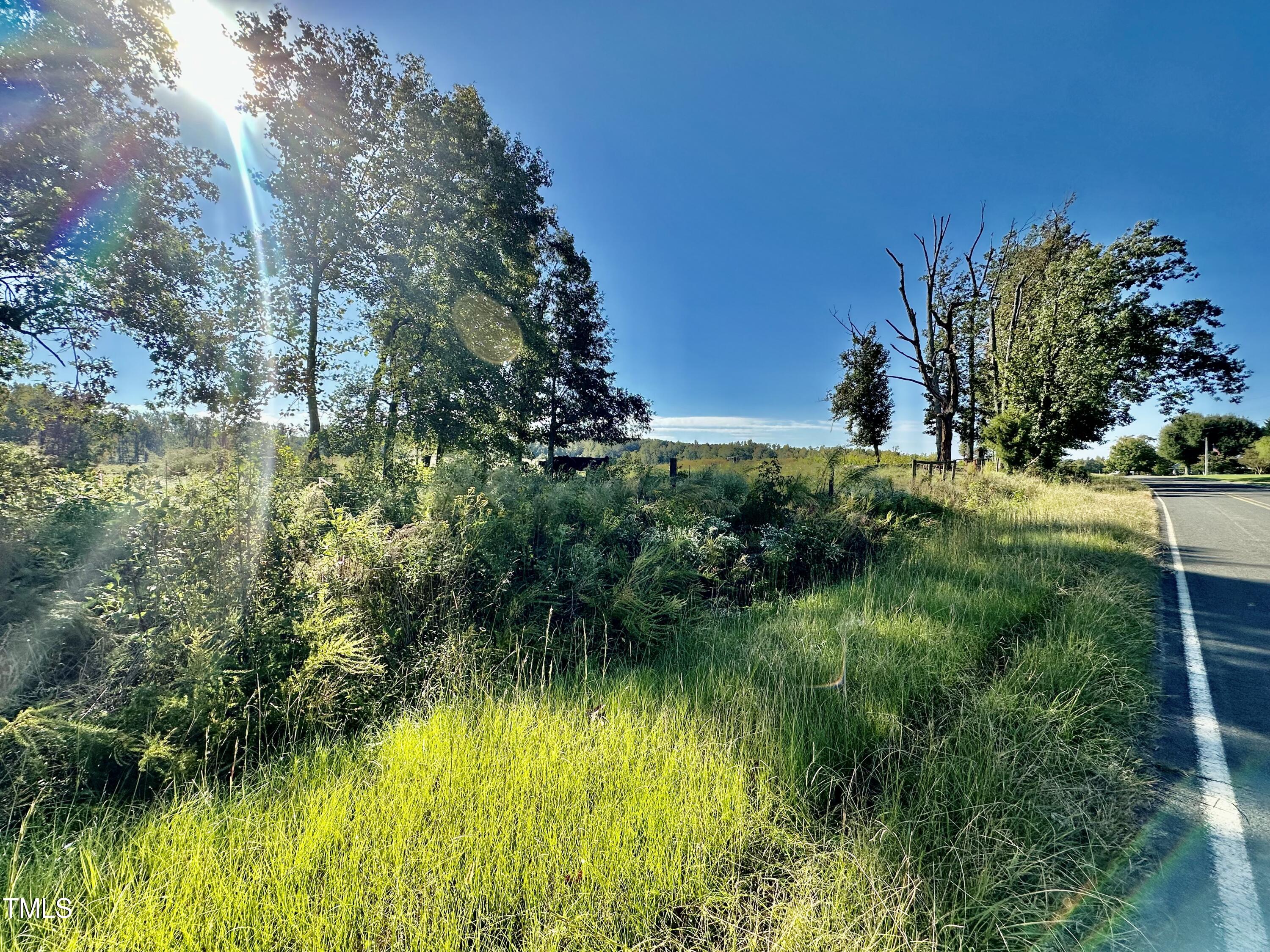 Lot 1 Jones Road Hurdle Mills, NC 27541 - Photo 4 of 11 IMG_6498