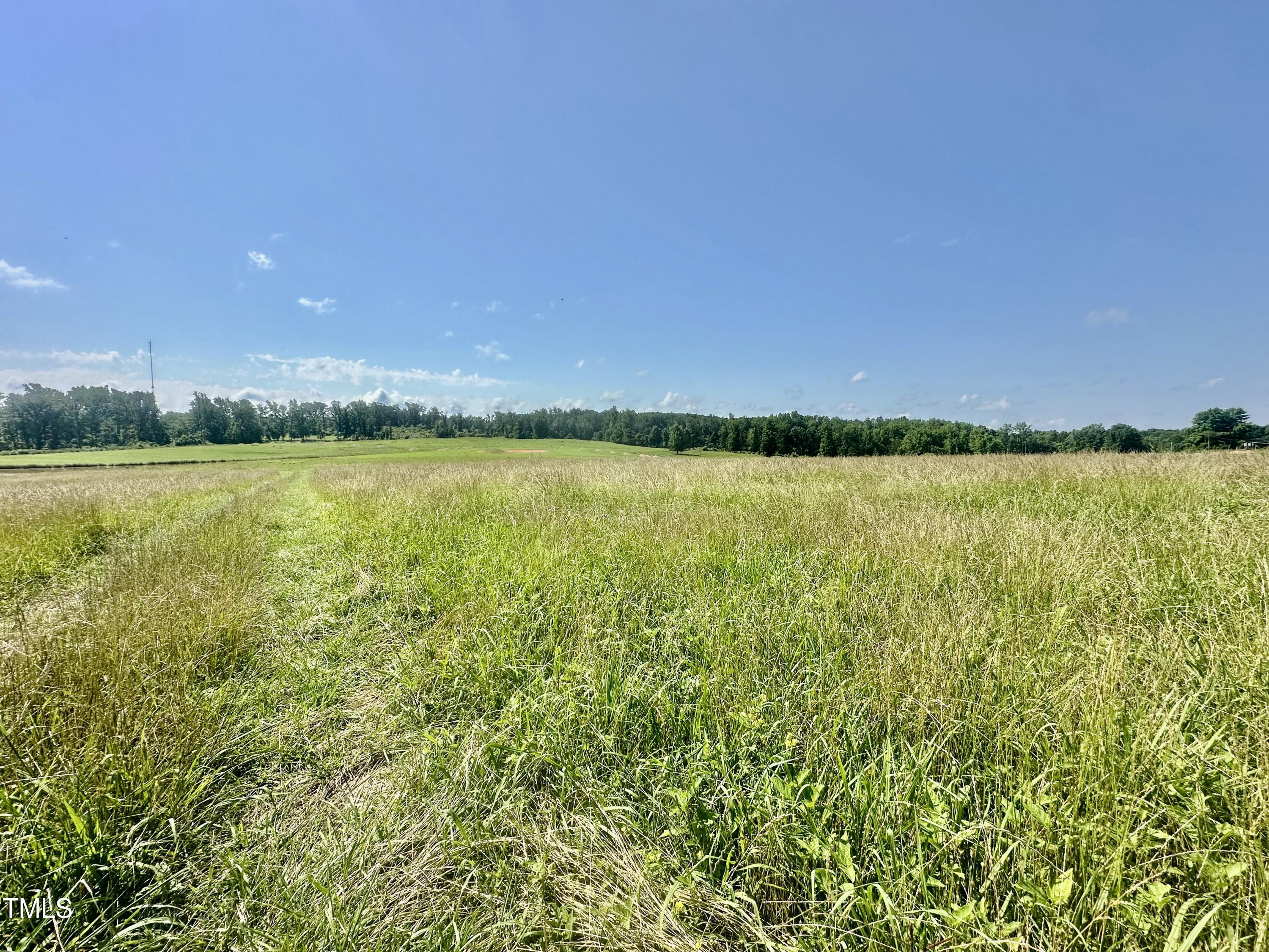 Lot 1 Jones Road Hurdle Mills, NC 27541 - Photo 5 of 11 IMG_0738