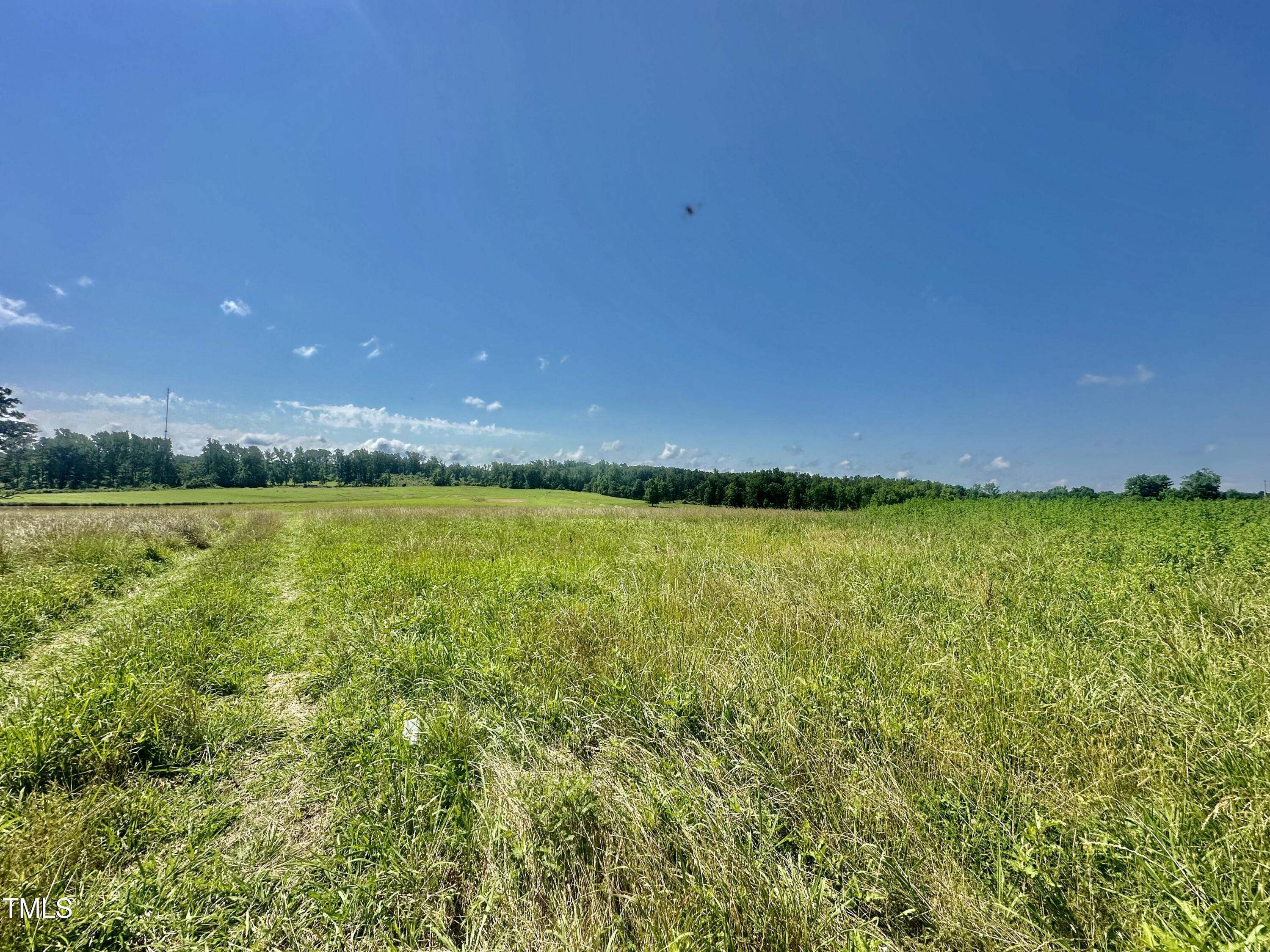 Lot 1 Jones Road Hurdle Mills, NC 27541 - Photo 6 of 11 IMG_0735