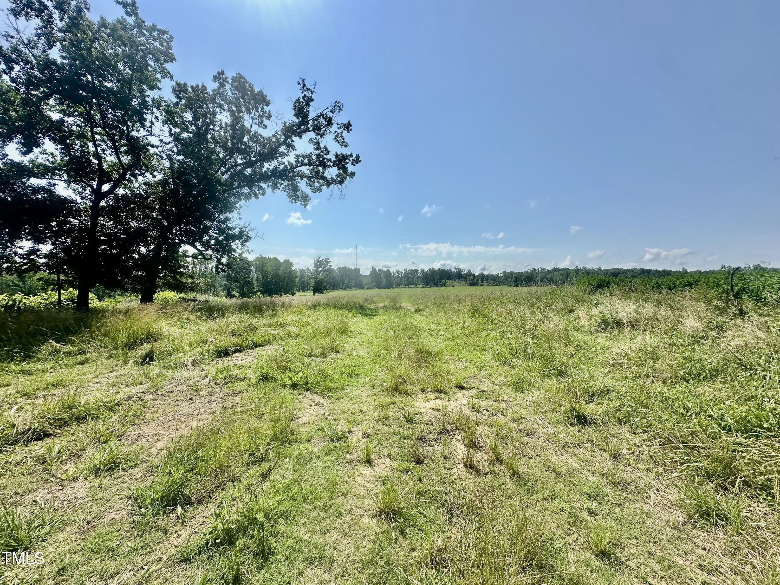 Lot 1 Jones Road Hurdle Mills, NC 27541 - Photo 7 of 11 IMG_0734