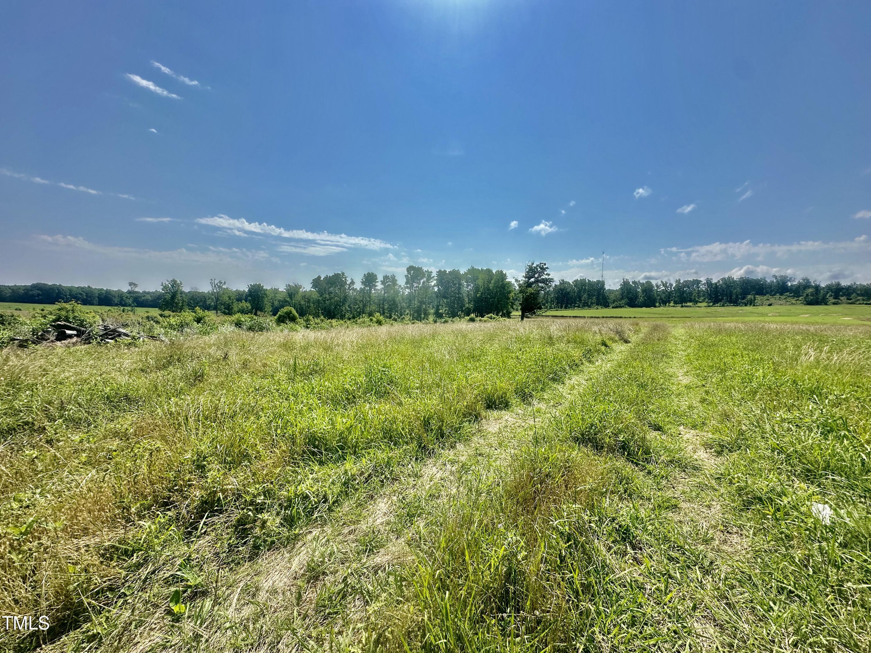 Lot 1 Jones Road Hurdle Mills, NC 27541 - Photo 8 of 11 IMG_0736