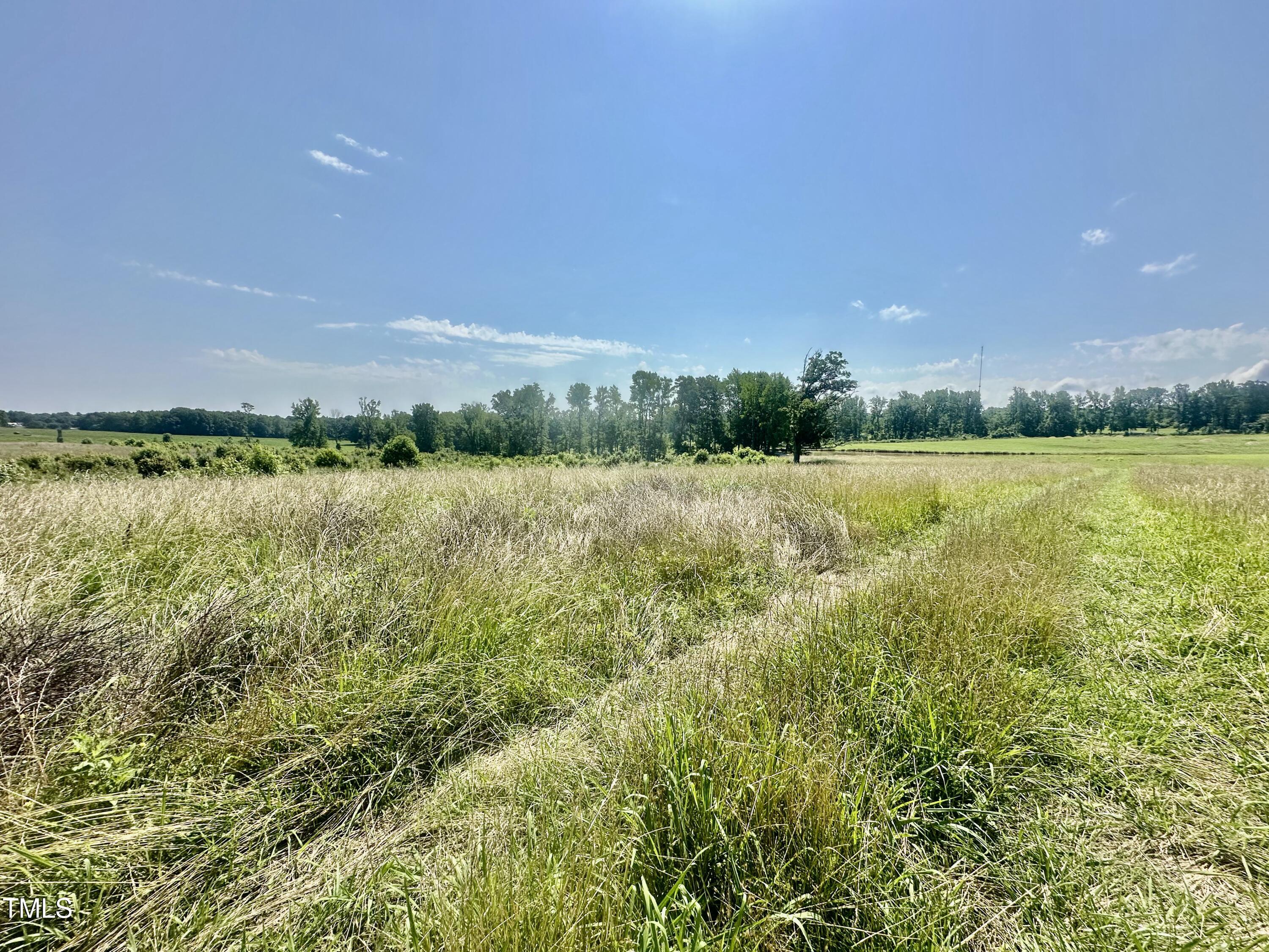 Lot 1 Jones Road Hurdle Mills, NC 27541 - Photo 10 of 11 IMG_0737