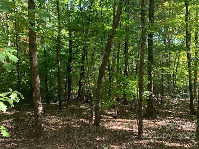 99999 Quail Ridge Road, Unit 246 Lake Lure, NC 28746 - Photo 1 of 21 Gallery Image 1