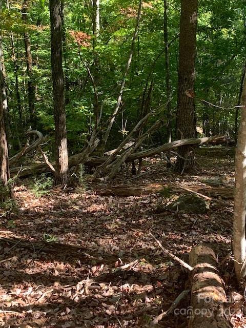 99999 Quail Ridge Road, Unit 246 Lake Lure, NC 28746 - Photo 13 of 21 Gallery Image 13