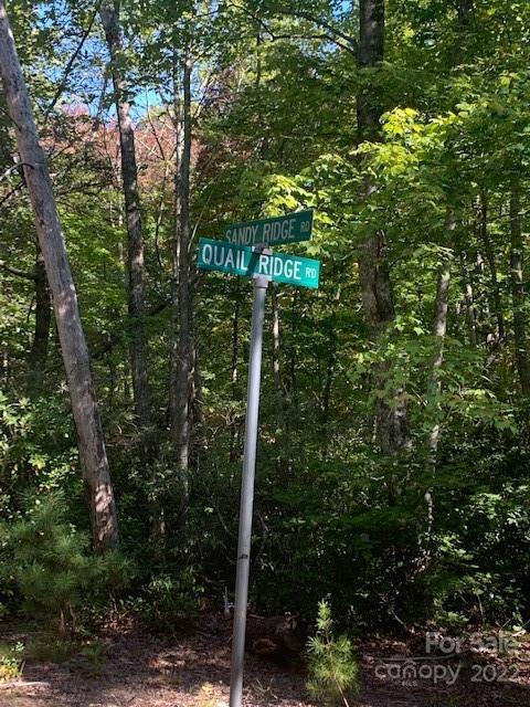 99999 Quail Ridge Road, Unit 246 Lake Lure, NC 28746 - Photo 15 of 21 Gallery Image 15